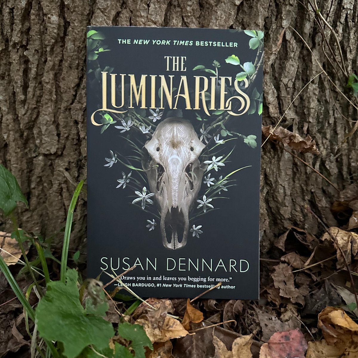 Jump into the world of The Luminaries by @stdennard, which will 'draw you in and leave you begging for more' (Leigh Bardugo)!🌙 The first & second books are available now, while the thrilling finale - The Whispering Night - is coming out 11/19! read.macmillan.com/torforge/the-l…