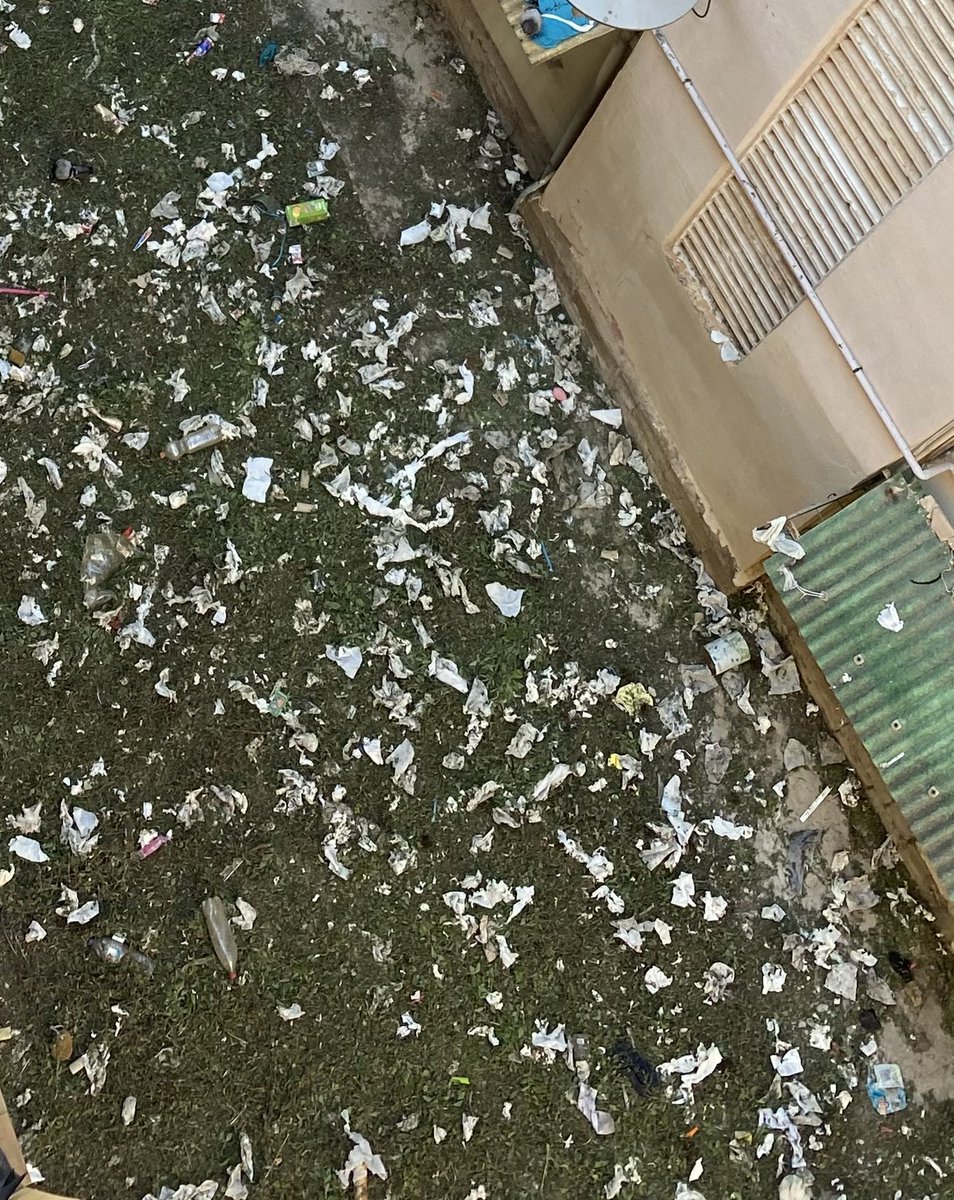 SergiAlemany's tweet photo. @ajuntamentvng Brutícia, rates, paneroles, mosquits i tot tipus d’insectes, fins quan hem de seguir aguantant aquesta situació? Carrer de l’aigua 148 https://t.co/13Jj4thkQY