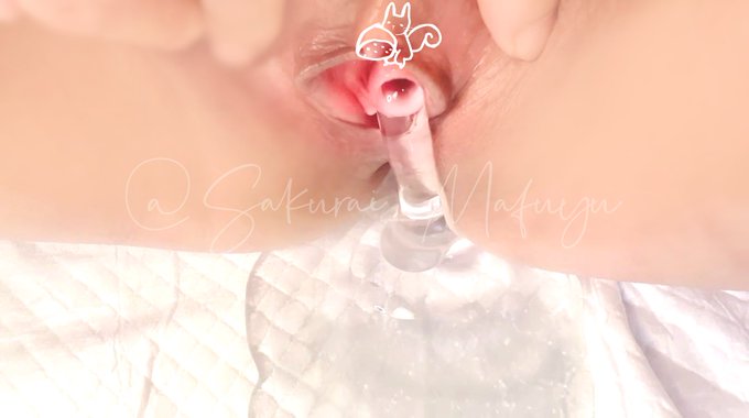 尿道（にょうどう、英: urethra）は、哺乳類の泌尿器に分類される器官の一つで、尿が膀胱から体外へ排泄されるときに通る管の名称である。  そう、管。管っぽい画が見たくて撮りました。 https://t<a href="/tag/%E7%8C%AB%E3%81%8B%E3%82%8F%E3%81%84%E3%81%84%E3%81%AD"class="tags"><span>#猫かわいいね</span></a>