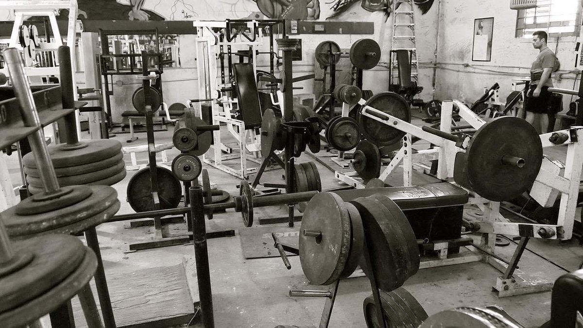 Josh Bryant tweet media