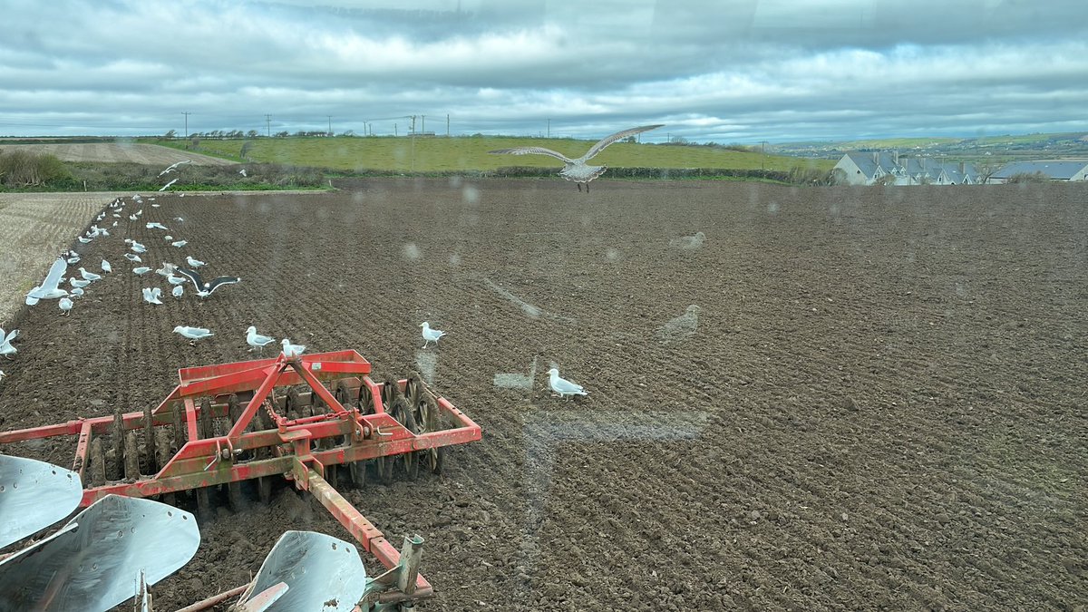 Making a start on ploughing. Focussing more on trying to get conditions right than focusing on the calendar for now 🌞🌾🌞