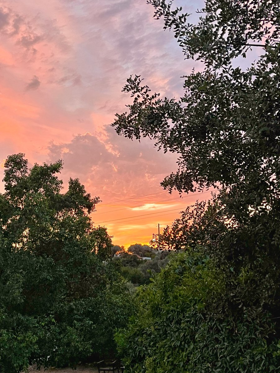 Tonight’s beautiful #Algarve #sunset sky🤩 #sunsetphotography #sunsets #SunsetView #Portugal #Portuguesa