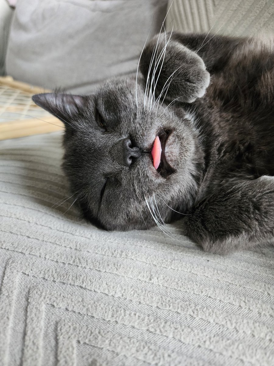 🌞Blaze Fyre🌞 tweet media