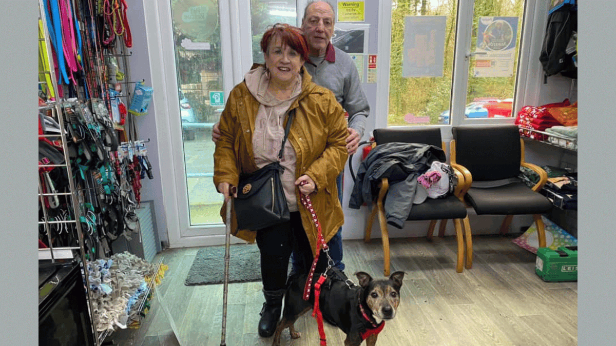 A red-letter day for Ruby This sweet girl was very popular at the rescue centre and with her foster family while she waited for her special day. Could you make a special day for a Hope dog? 👉 hoperescue.org.uk/adopt Thanks to @burnspetfood for your support