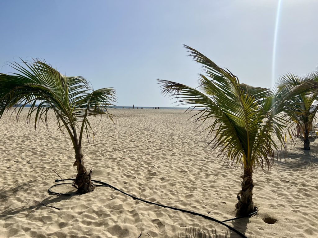 garry hale 🌎🌱 tweet media