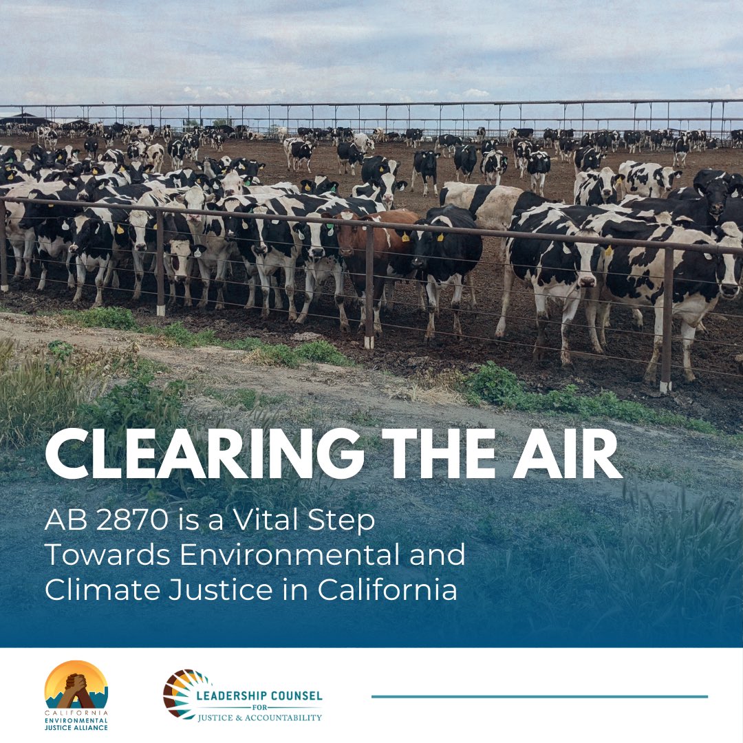 #California climate policies must not sacrifice the health & well-being of communities who bear the burdens of factory farm pollution. We urge the Assembly Natural Resources Committee to pass #AB2870 — protect communities & fix the #LCFS!

Read more 👇🏽
capitalandmain.com/how-a-californ…