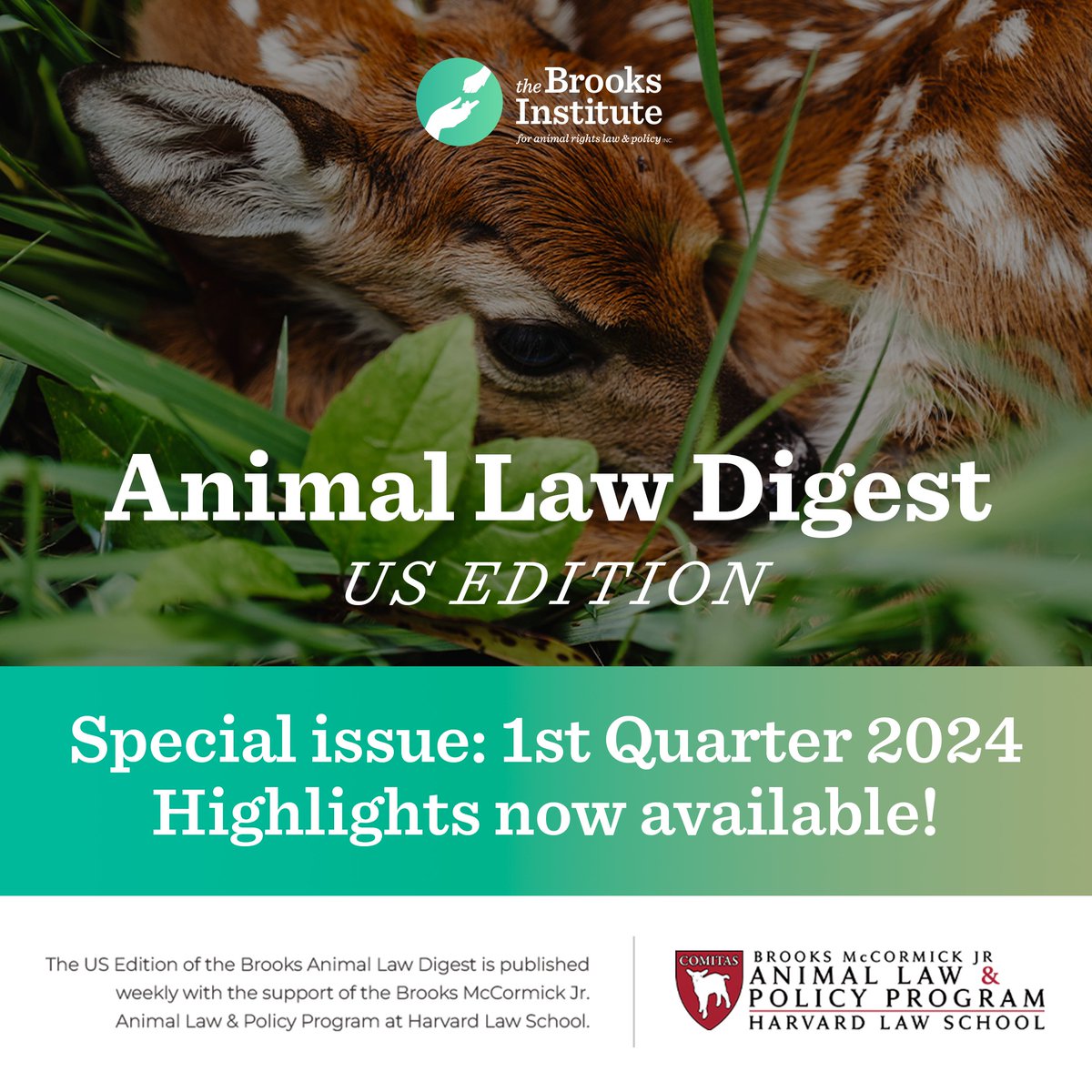 The Brooks Animal Law Digest - US Edition 1st Quarter 2024 Highlights are now available!

thebrooksinstitute.org/animal-law-dig…

---

Subscribe to the Brooks Animal Law Digest at thebrooksinstitute.org/subscribe⁠

#animallaw #animalpolicy #thebrooksinstitute #animallawandpolicy #animalprotection