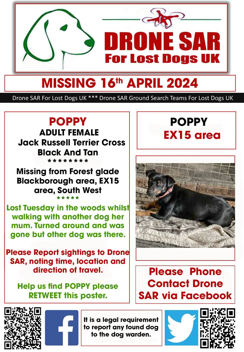 #LostDog #Alert POPPY
Female Jack Russell Terrier Cross Black And Tan (Age: Adult)
Missing from Forest glade Blackborough area, EX15 area, South West on Tuesday, 16th April 2024 #DroneSAR #MissingDog
