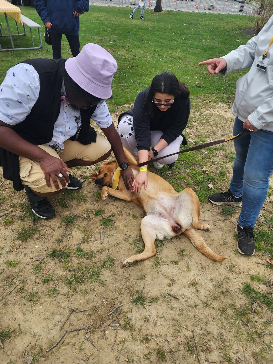 Hollybash with <a href="/RowanPetTherapy/">RowanPetTherapy</a> at the sensory friendly zone!
