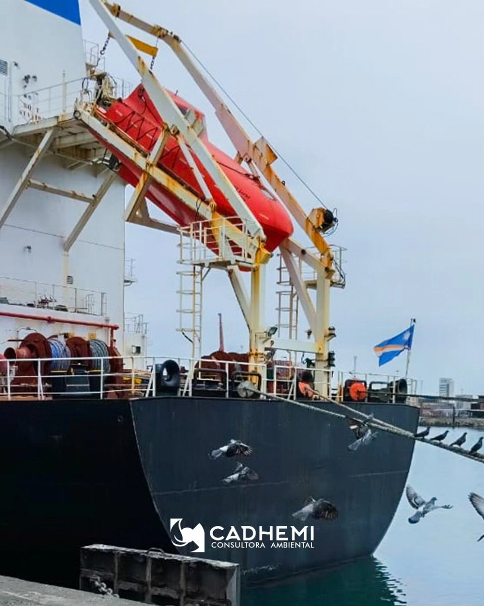cadhemi's tweet photo. Nuestra visión ambiental nos lleva a estar siempre alertas y dispuestos a cuidar el ecosistema nacional🇻🇪🌊

📸 Registro fotográfico de inspección de #aguadelastre🌊 realizada en @BolipuertosGob1 en #PuertoCabello 

#cadhemi 
#7transformaciones2030 
@inea_venezuela https://t.co/H62x4lnvDP