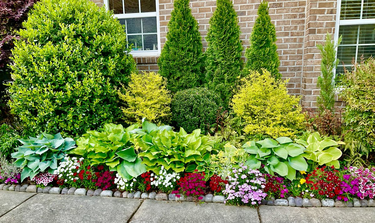 FRIDAY BEAUTY BREAK! Hello, Hostas!