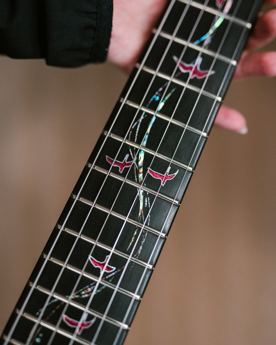 prsguitars tweet picture