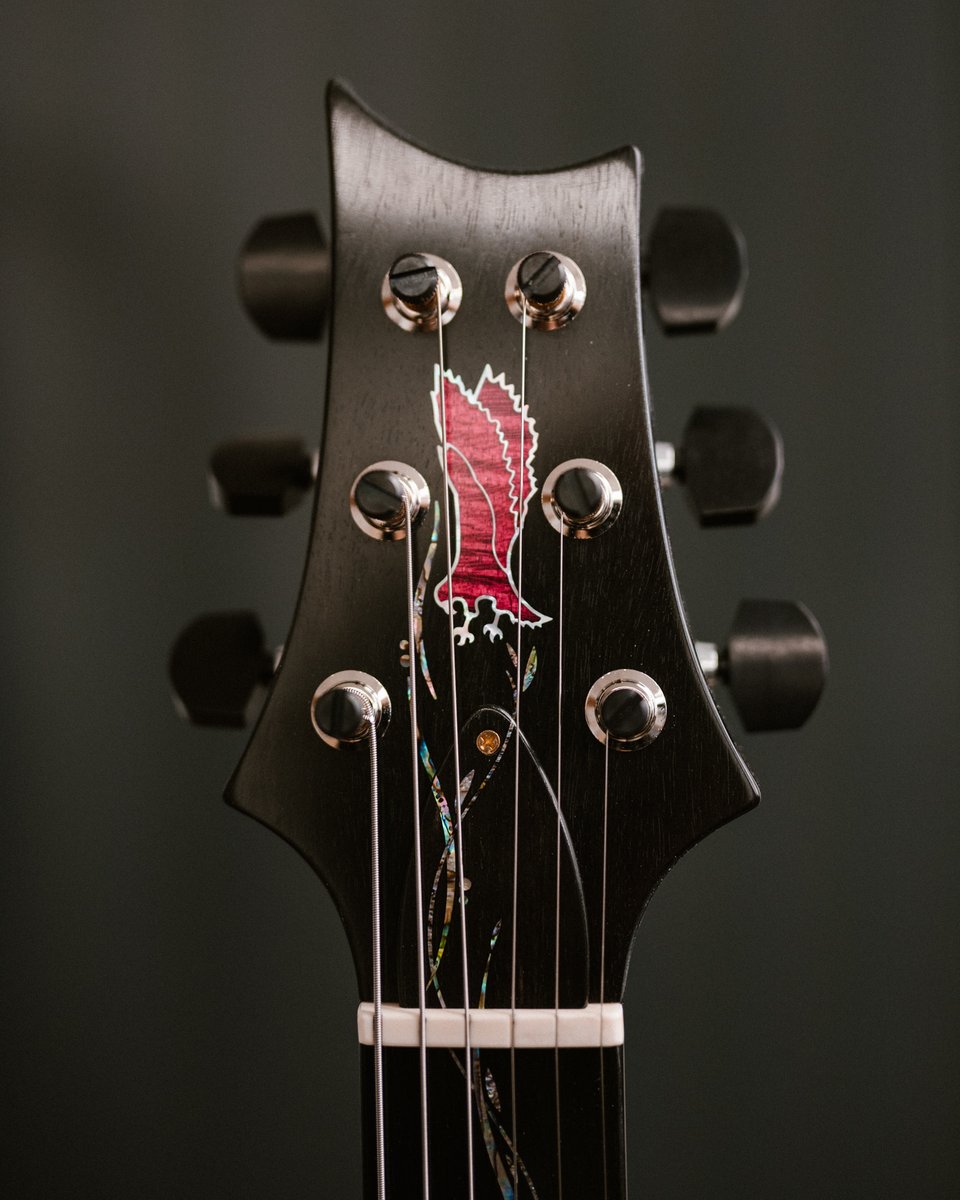 prsguitars tweet picture