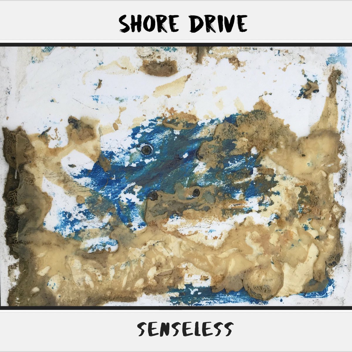 Shore Drive tweet media