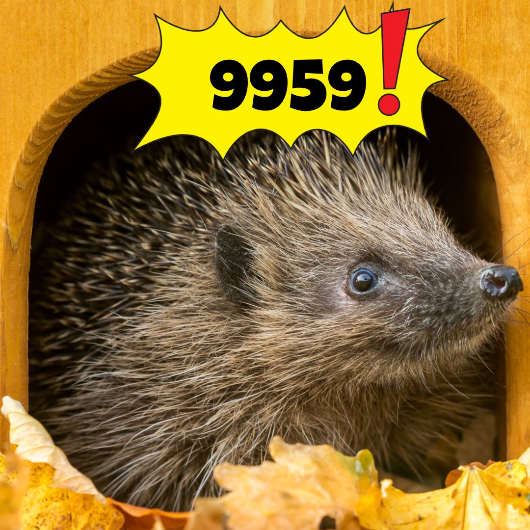 Almost there #pricklypals 💚

👉🏻🦔petition.parliament.uk/petitions/6580…
#Hedgehog petition