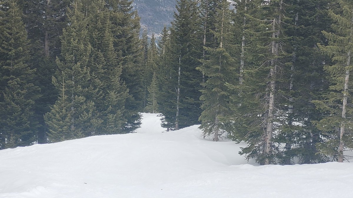 The path less traveled. Breckenridge