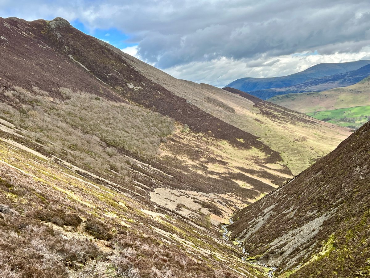 10-miler today, including one of my favourite routes: from Buttermere to Newlands, and home. Love those sessile oaks on the slope of Causey Pike (2nd pic) #LakeDistrict