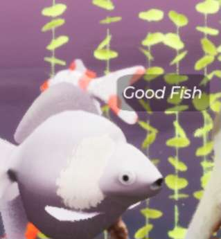 afishgame's tweet photo. https://t.co/Niv4ppxvJj