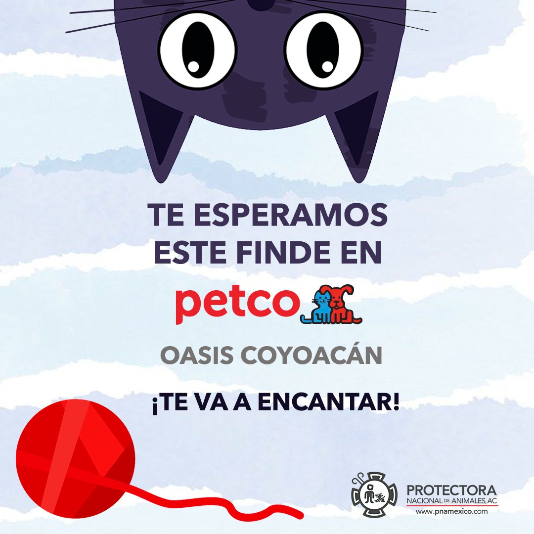 PNA México Adopta tweet media