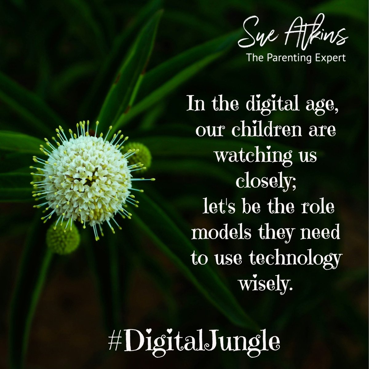 SueAtkins's tweet image. Being a tech-savvy parent is great, but balance is key! Show your kids the importance of unplugging and enjoying the moment. #TechBalance #ParentingGoals #WDDD @worlddetox1 #DigitalJungle #parenting
