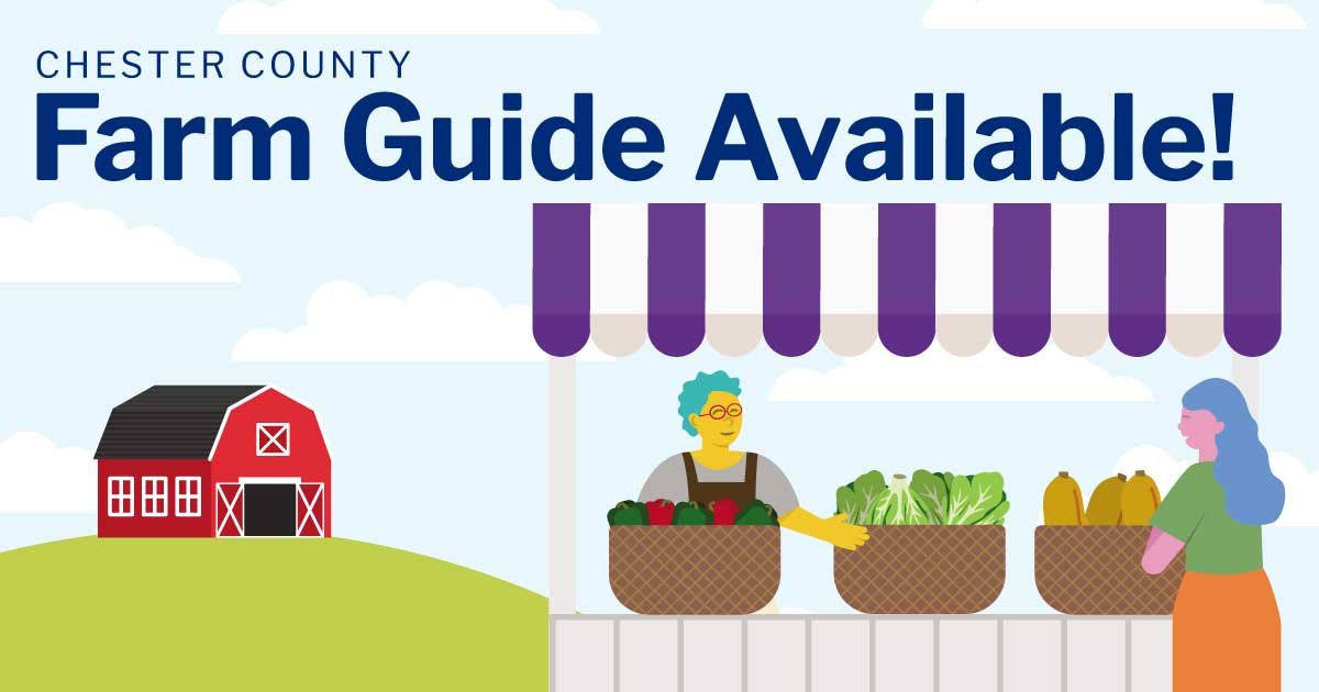 ChescoGovt's tweet photo. The new edition of the Chester County Farm Guide is here! 
🌽Explore over 125 #Chesco farms, farmers markets and retail outlets
🌽Meet the Farmers of the Year and others who make our local food system possible
🌽Try out some delicious recipes!

https://t.co/YOCuDqb26b https://t.co/qZgSmtzBXe