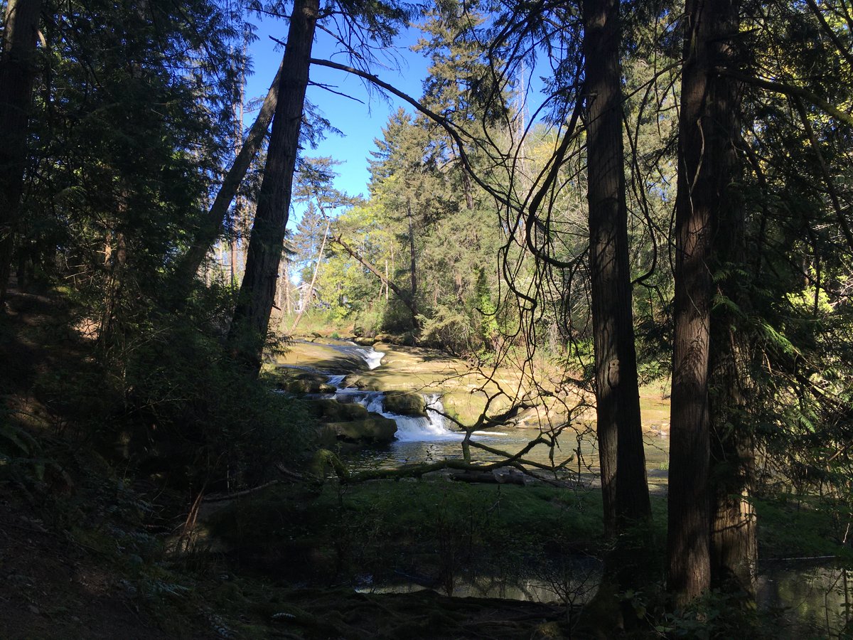 bowen park, millstone river, april 19 2024
#nanaimo #vancouverisland #springtime #bowenpark