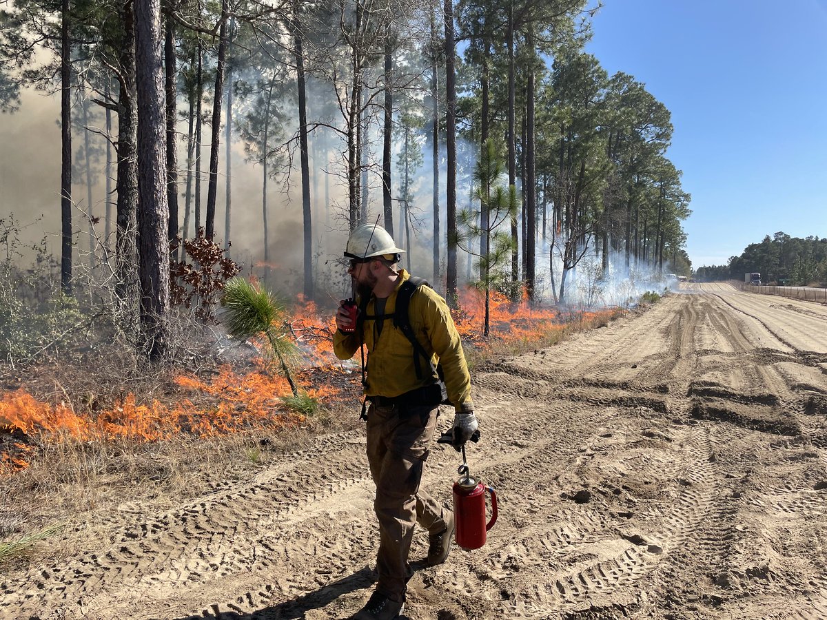 #FridayFireFact: @Interior works to restore & maintain fire-resilience ecosystems that reduce the likelihood of catastrophic wildfires. Last year, Interior reduced excessive vegetation that can fuel wildfires on 2.59 million acres: doi.gov/wildlandfire/f… Photo: @USFWSFire