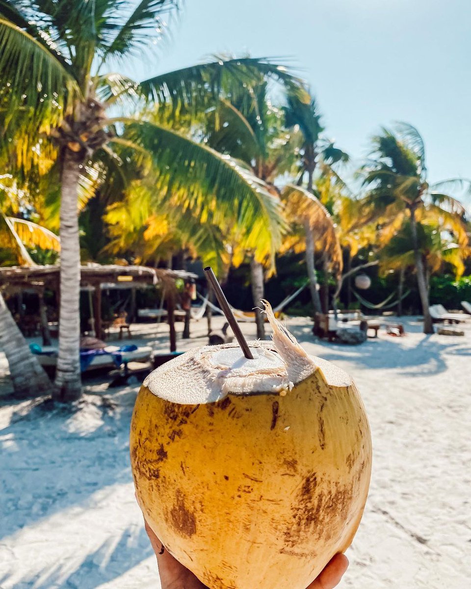 Asegúrate de agregar a tu itinerario de aventuras por el #CaribeMexicano momentos de descanso para disfrutar un delicioso #snack tropical. ¡Escoge entre diferentes frutas frescas de temporada! 🍍🥭🥥 📍 #Holbox 📸 IG: melly_ba | isabel_l__ #TheSignatureParadise