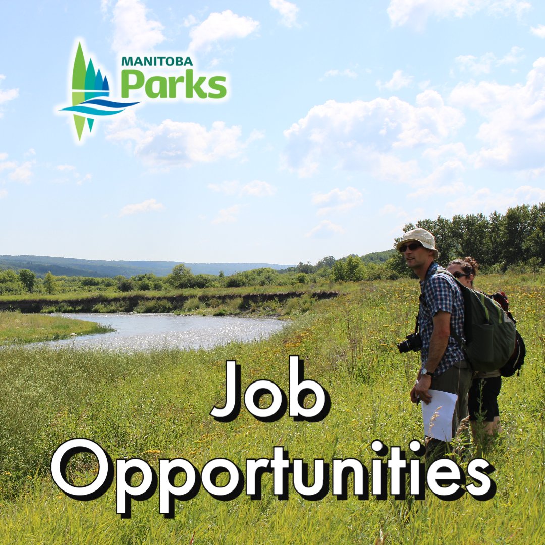 Start your career in provincial parks! Find seasonal and full-time opportunities in your favourite park here: bit.ly/3uOwy8m
#ManitobaParks #mbjobs