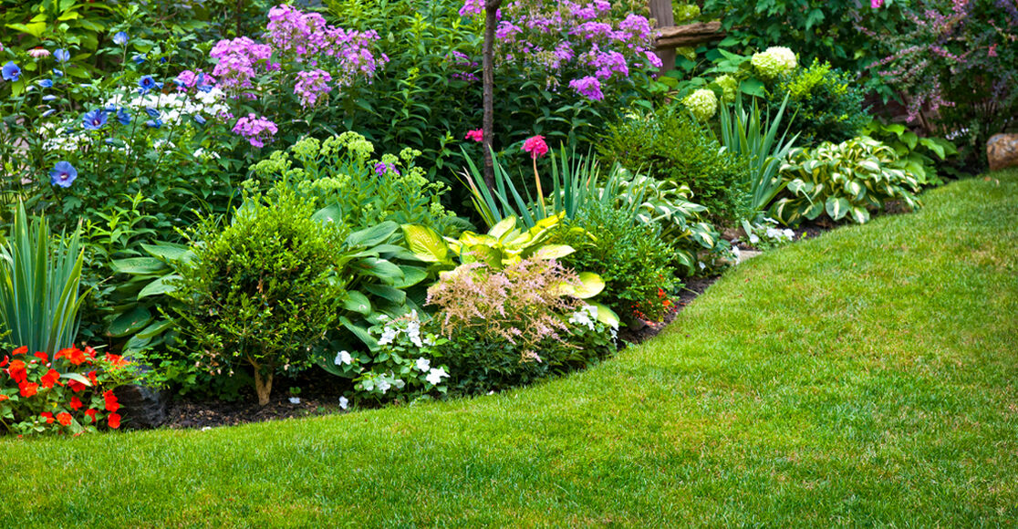 Perennials are hearty flowers that come back year after year providing low maintenance beauty. 
What type of flowers go together and when should you plant? Let's walk through it - ms.spr.ly/6014YDgUQ