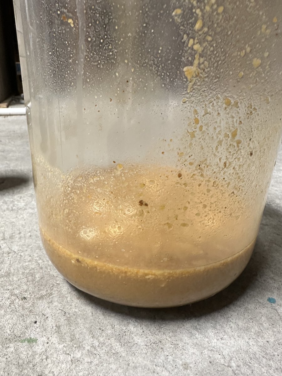 pegaggio's tweet photo. Its time for another #jupdate. Since the last one not much has happened. My cat knocked it off the window sill, which shook it up a bit, but other than that it's been sitting there for 593 days (I think). Here is what it looked like before the additions. (1/4) https://t.co/M7SLeqxRH8
