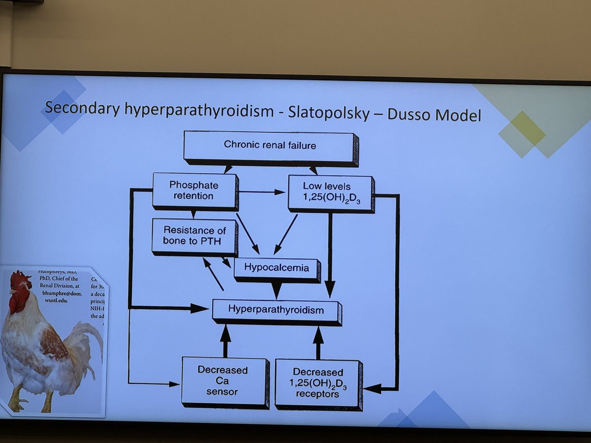 BeanQueen Gaddy (@annagaddy) on Twitter photo Dr Joy <a href="/JoyMariyam/">Christina Mariyam Joy</a> lecturing us <a href="/MCW_Nephrology/">MCW Nephrology</a> on Macho the Rooster and PTH via <a href="/HumphreysLab/">Ben Humphreys</a> ๐ Dr Joy <a href="/JoyMariyam/">Christina Mariyam Joy</a> lecturing us <a href="/MCW_Nephrology/">MCW Nephrology</a> on Macho the Rooster and PTH via <a href="/HumphreysLab/">Ben Humphreys</a> ๐
