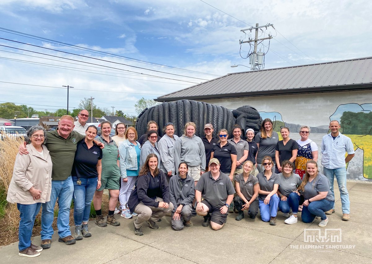 We were excited to welcome elephant care consultant and Sanctuary friend, Gerry Creighton, to The Elephant Sanctuary this week. Gerry spent the morning with Care Staff and gave a presentation on the importance of herd socialization to Sanctuary Staff.