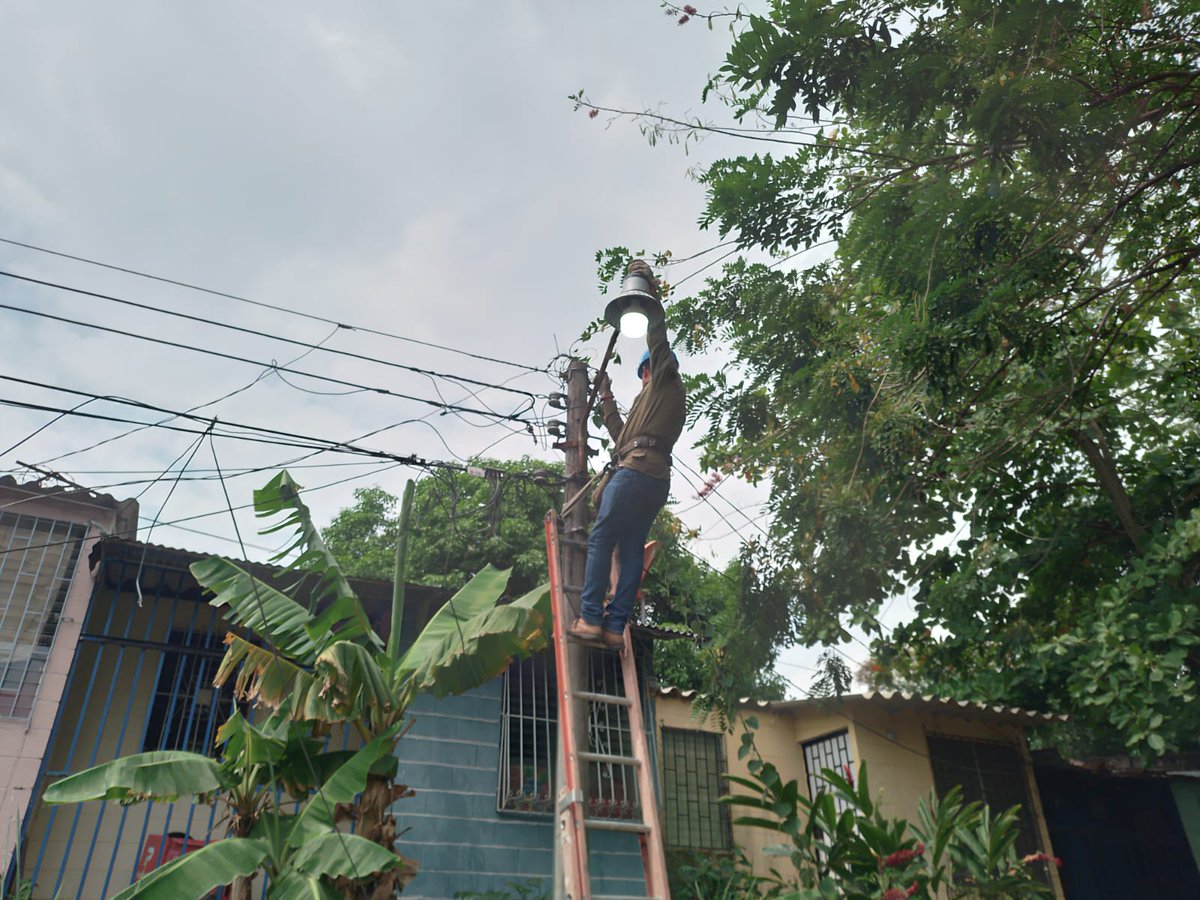 Alcaldia_Ayutux's tweet photo. Bajo la coordinación de nuestro @AlcaldeNochez, este día se han realizado trabajos de mantenimiento y reparación de lámparas en distintaz zonas de la Col. Santísima Trinidad de #Ayutuxtepeque.
#TrabajarConstruiryProgresar
Alejandro Nóchez
"Cerca de la Gente". https://t.co/T7XD5IwyKj