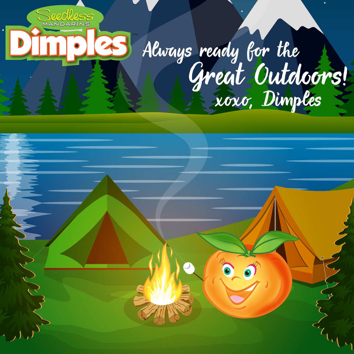 dimplescitrus's tweet photo. Dimples, we love you more than a beautiful starry night! 🌠🌙

#DimplesCitrus #Dimples #Citrus #Mandarins #SeedlessMandarins #StarryNights https://t.co/prFco9jnwn