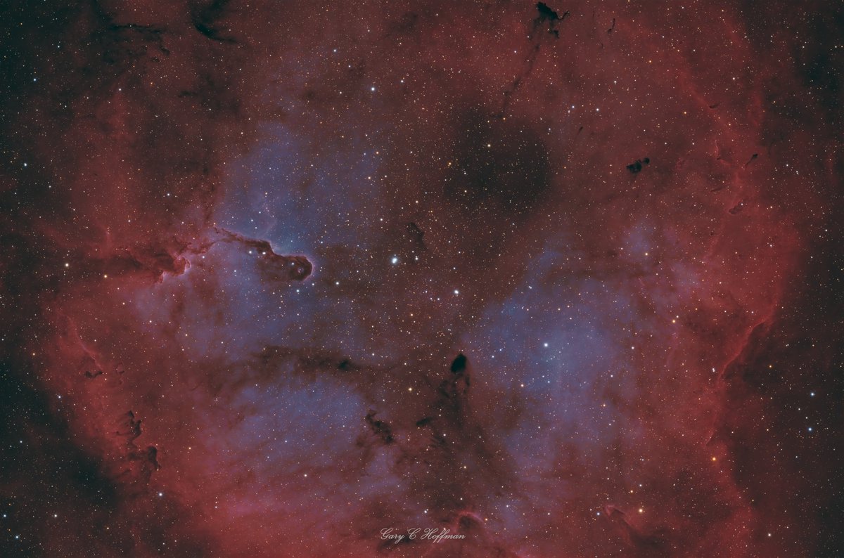 IC 1396 The Elephant's Trunk Nebula is 2,400 light years away. It’s over 20 light-years long and is a site of star formation.

This is ~10hrs of data with the L-eXtreme filter in HOO, with ~30 mins with the L-Pro for the stars.

#Astronomy #Astrophotography #Space #Nebula #Stars
