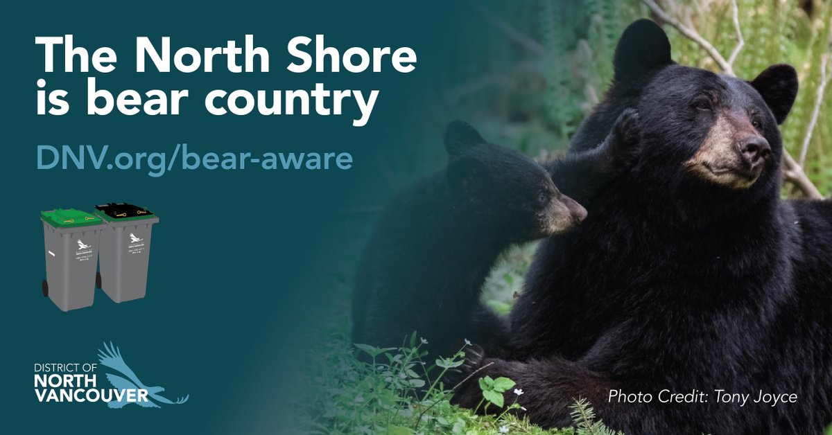 Be bear aware and help protect the North Shore's black bear population. ✖️Never leave carts out overnight 🐟Wrap/freeze food scraps 🍌Layer your organics 🧽Keep carts clean Learn how to live safely with bears and other wildlife: bit.ly/3E8GkCX