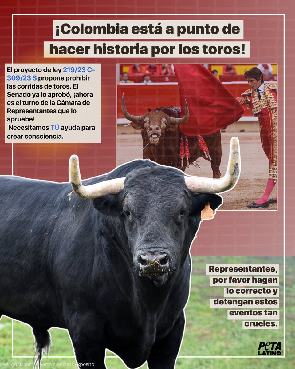 ¡Estamos muy cerca de que Colombia haga historia y prohíba las corridas de toros gracias al proyecto de ley 219/23 C-309/23 S! #ColombiaSinToreo 🐂

¡Ayuda a crear conciencia, comparte este post y NUNCA asistas a una corrida!