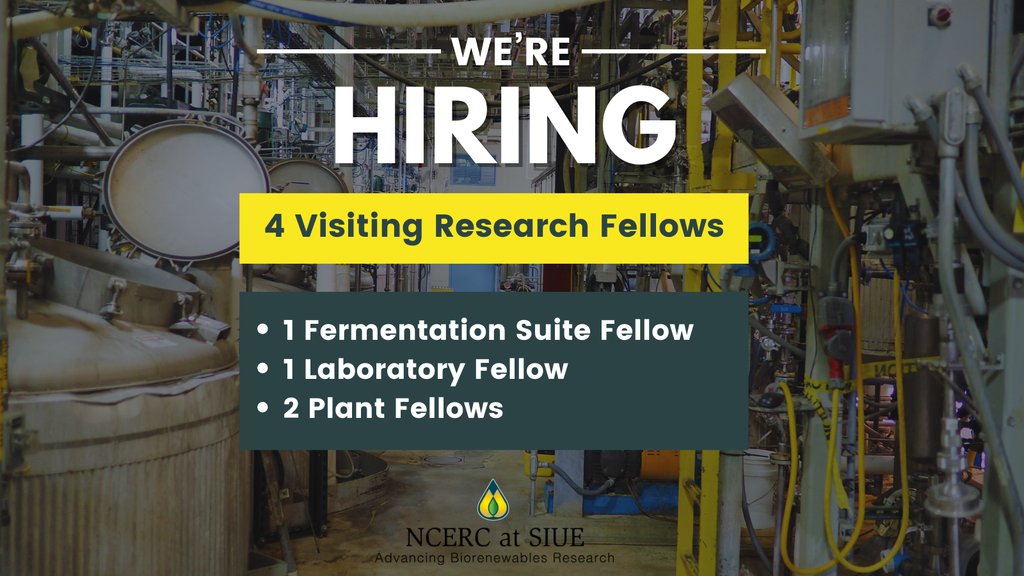 NCERC is looking to hire four Visiting Research Fellows! Visiting Research Fellows are recent graduates who are looking to gain hands-on industry experience in biorenewables, brewing, specialty chemicals and refining industries. Learn more at linktr.ee/advancingbiofu…