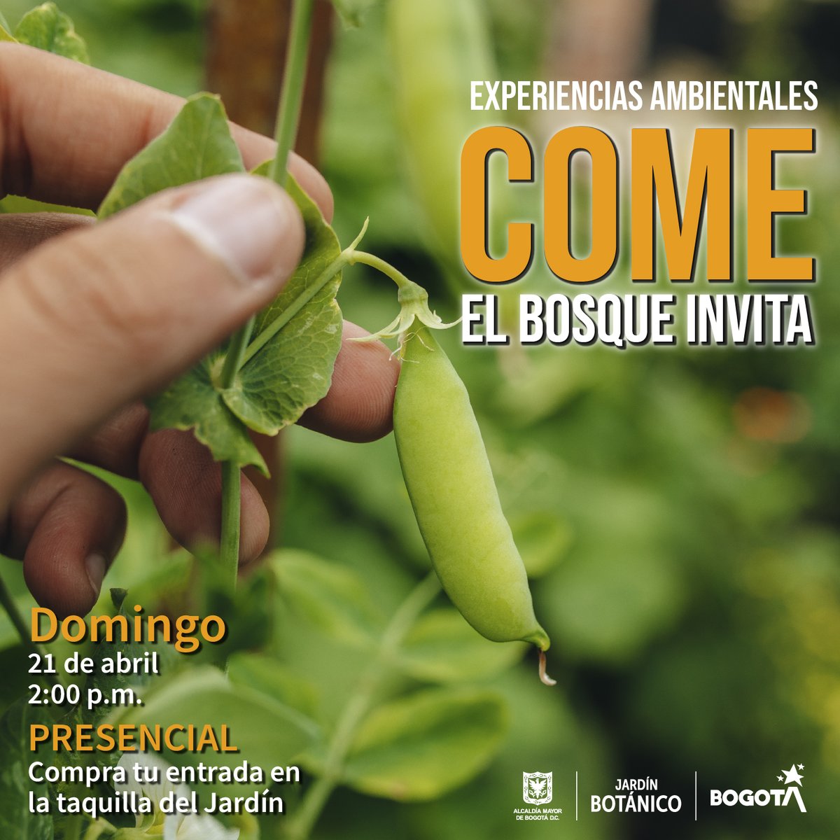 Acércate a esta experiencia ambiental y vive los sabores de la madre tierra🤲🍅