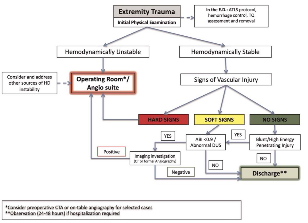 RedCiruAndes tweet media