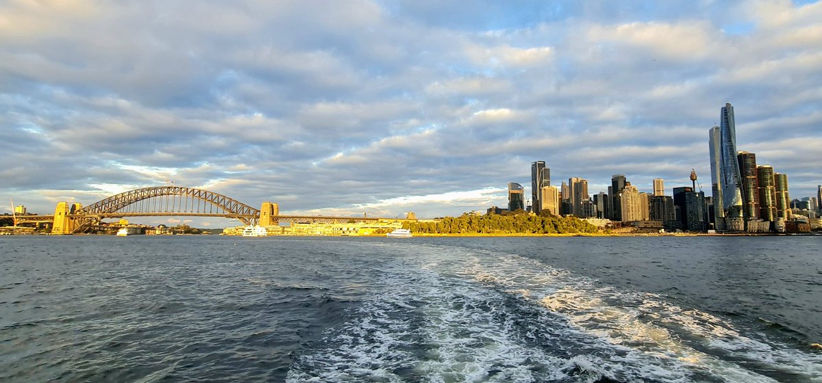 Kingybob tweet media