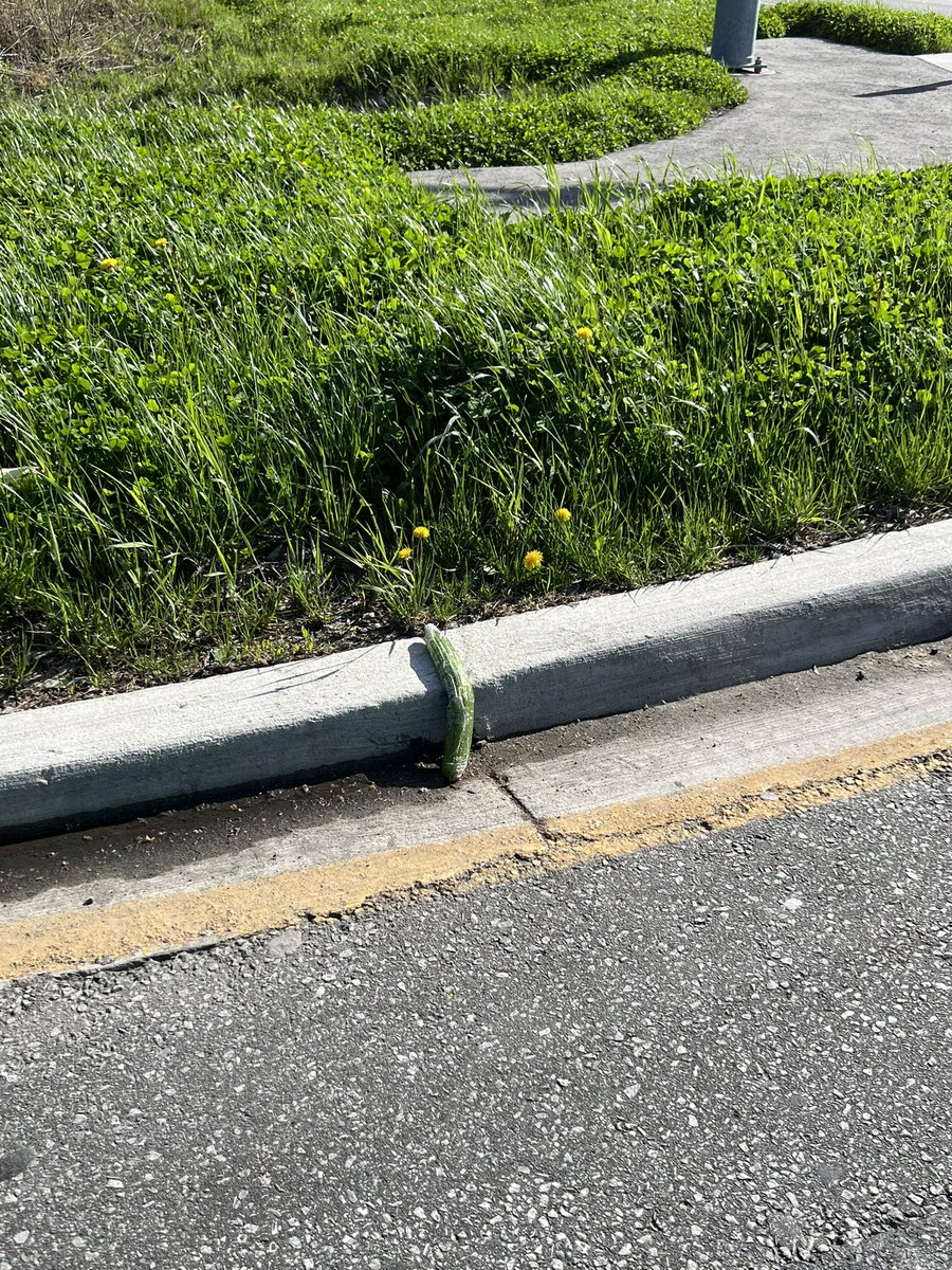 ItsBlarg's tweet photo. Who lost they cumber? https://t.co/MWDfbulKpj