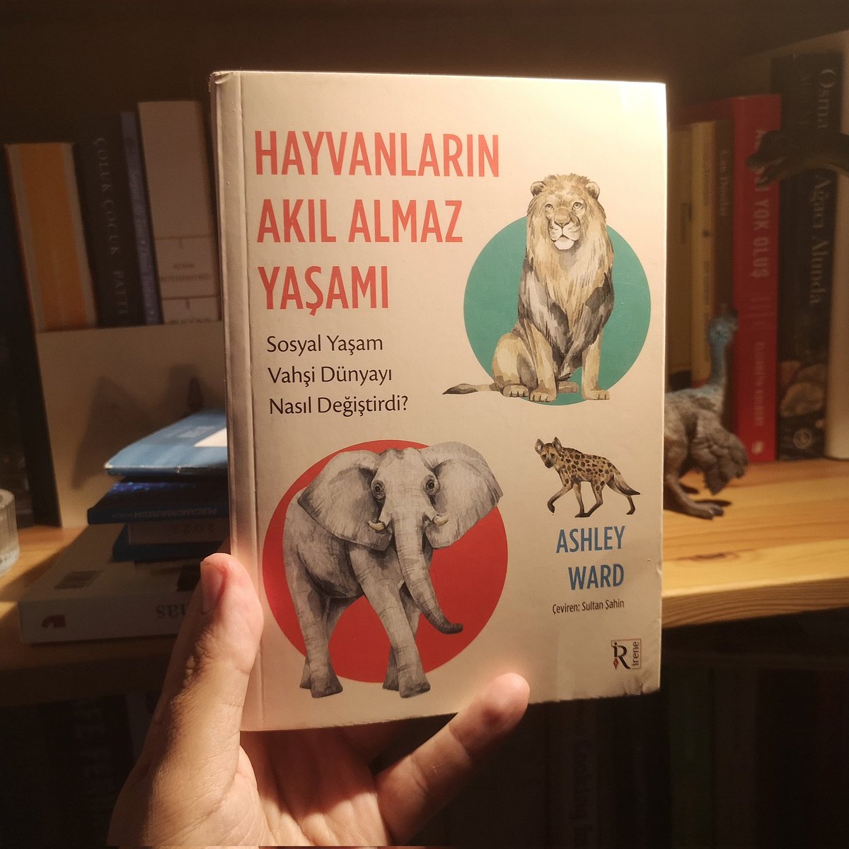 Emrah Çoraman (@coraman) on Twitter photo Hayvanların Akıl Almaz Yaşamı
Ashley Ward
Sosyal yaşam vahşi dünyayı nasıl değiştirdi? Yine <a href="/irenekitap/">İrene Kitap</a>'tan. Kitabın başında vampir yarasalara denk gelince ilgimi daha da çok çekti. Vampir yarasalar, hasta arkadaşlarını kendi içtikleri kanı paylaşarak besliyorlar. Arkadaşlığın Hayvanların Akıl Almaz Yaşamı
Ashley Ward
Sosyal yaşam vahşi dünyayı nasıl değiştirdi? Yine <a href="/irenekitap/">İrene Kitap</a>'tan. Kitabın başında vampir yarasalara denk gelince ilgimi daha da çok çekti. Vampir yarasalar, hasta arkadaşlarını kendi içtikleri kanı paylaşarak besliyorlar. Arkadaşlığın