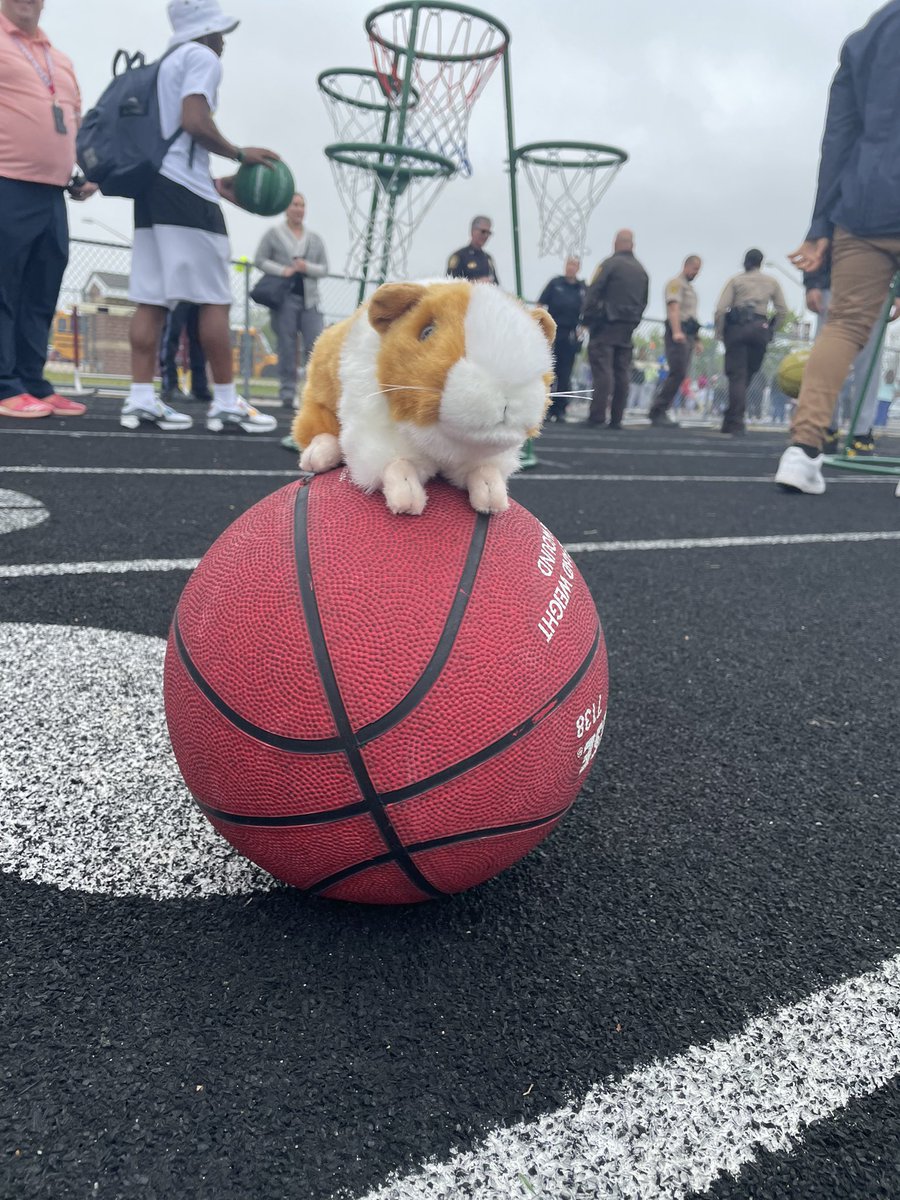 little_gunther's tweet photo. I can’t believe Humphrey made it to the @SufVAschools Little Feet Meet! I don’t know who had more fun the students or Humphrey #SchoolDaysAccordingToHumphrey #AllDistrictReads https://t.co/FIQLrQaxaS