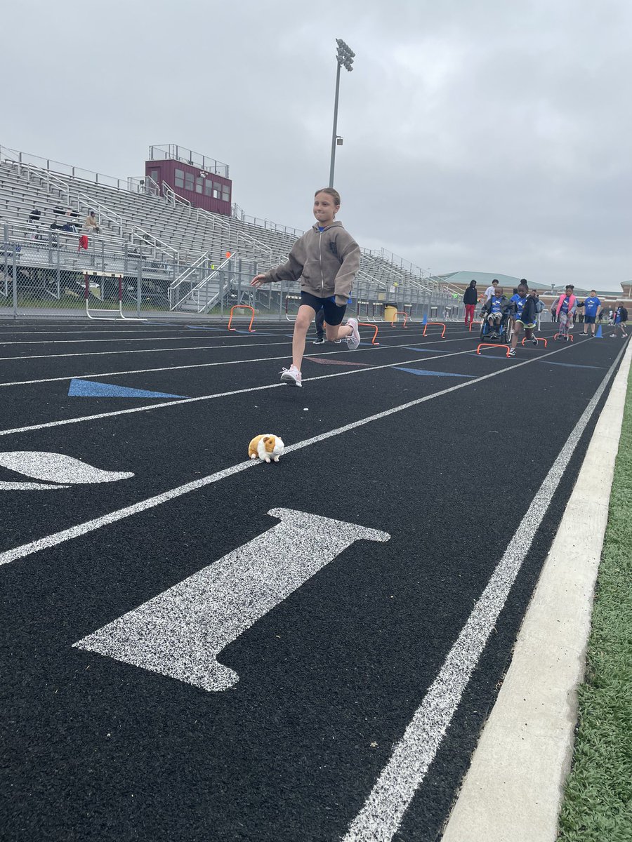 james gunther (@little_gunther) on Twitter photo I canโt believe Humphrey made it to the <a href="/SufVAschools/">Suffolk Public Schools</a> Little Feet Meet! I donโt know who had more fun the students or Humphrey #SchoolDaysAccordingToHumphrey #AllDistrictReads I canโt believe Humphrey made it to the <a href="/SufVAschools/">Suffolk Public Schools</a> Little Feet Meet! I donโt know who had more fun the students or Humphrey #SchoolDaysAccordingToHumphrey #AllDistrictReads