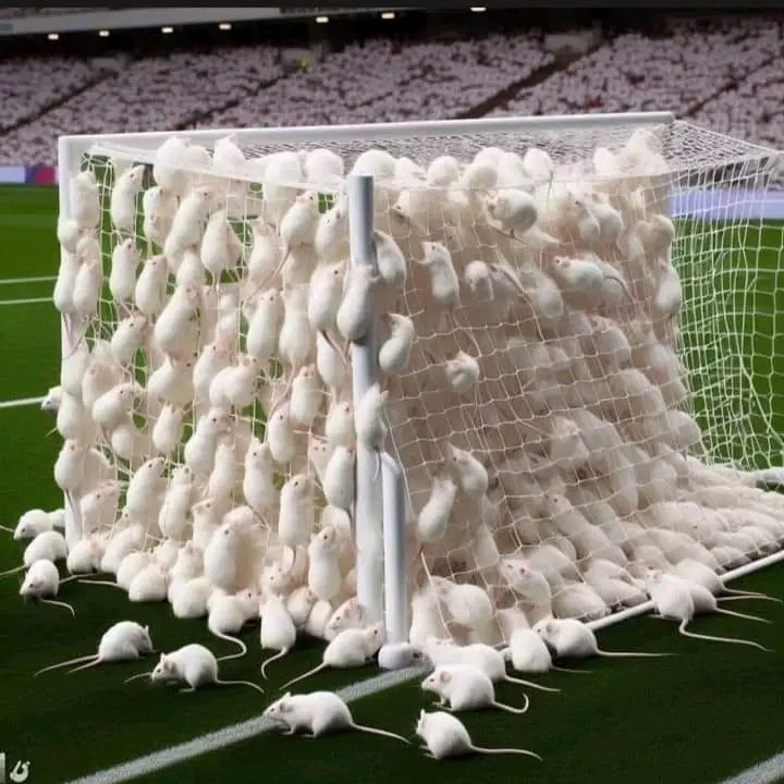 La imagen sugiere un equipo de España y su estilo de juego.