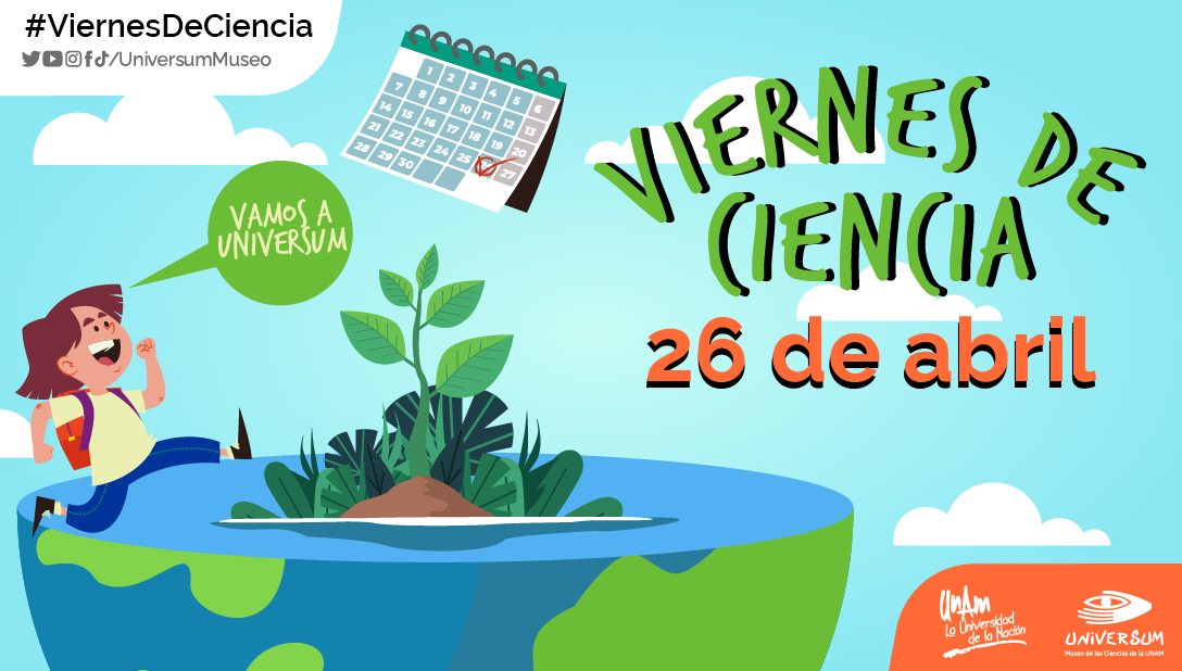 <a href="/MHNCA_CDMX/">Historia Natural MX</a> <a href="/mafcultura/">Museo Archivo de la Fotografía</a> <a href="/MUSEOMODO/">MuseoObjetodelObjeto</a> <a href="/La_Rodadora/">La Rodadora</a> <a href="/PapagayoTabasco/">Museo Papagayo</a> <a href="/TrompoMuseo/">El Trompo MIT ®</a> #HablandoDeMuseos

¡Este último viernes de abril, visita #Universum! 😎💓

Forma parte de actividades especiales que unen el juego y la ciencia en un mundo de diversión. 👏👌