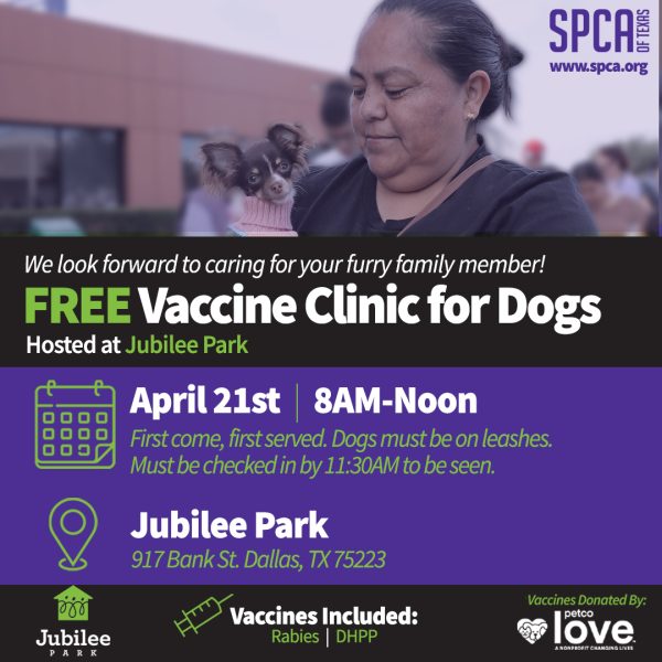Join the SPCA of Texas at Jubilee Park, 917 Bank St. Dallas, TX 75223 for a free vaccine clinic on April 21st from 8AM-12pm for dogs only. First-come, first served.