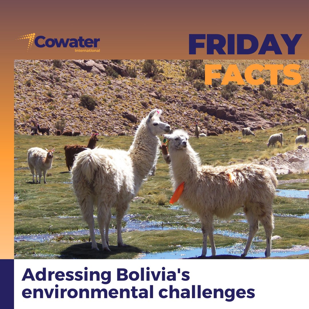 @Cowater_Intl promotes eco-friendly solutions to combat deforestation and unsustainable practices. Operating in challenging environmental landscapes like #Bolivia, #Peru, and #Tanzania, we strive to create a greener, more sustainable future.

 #SustainableManagement